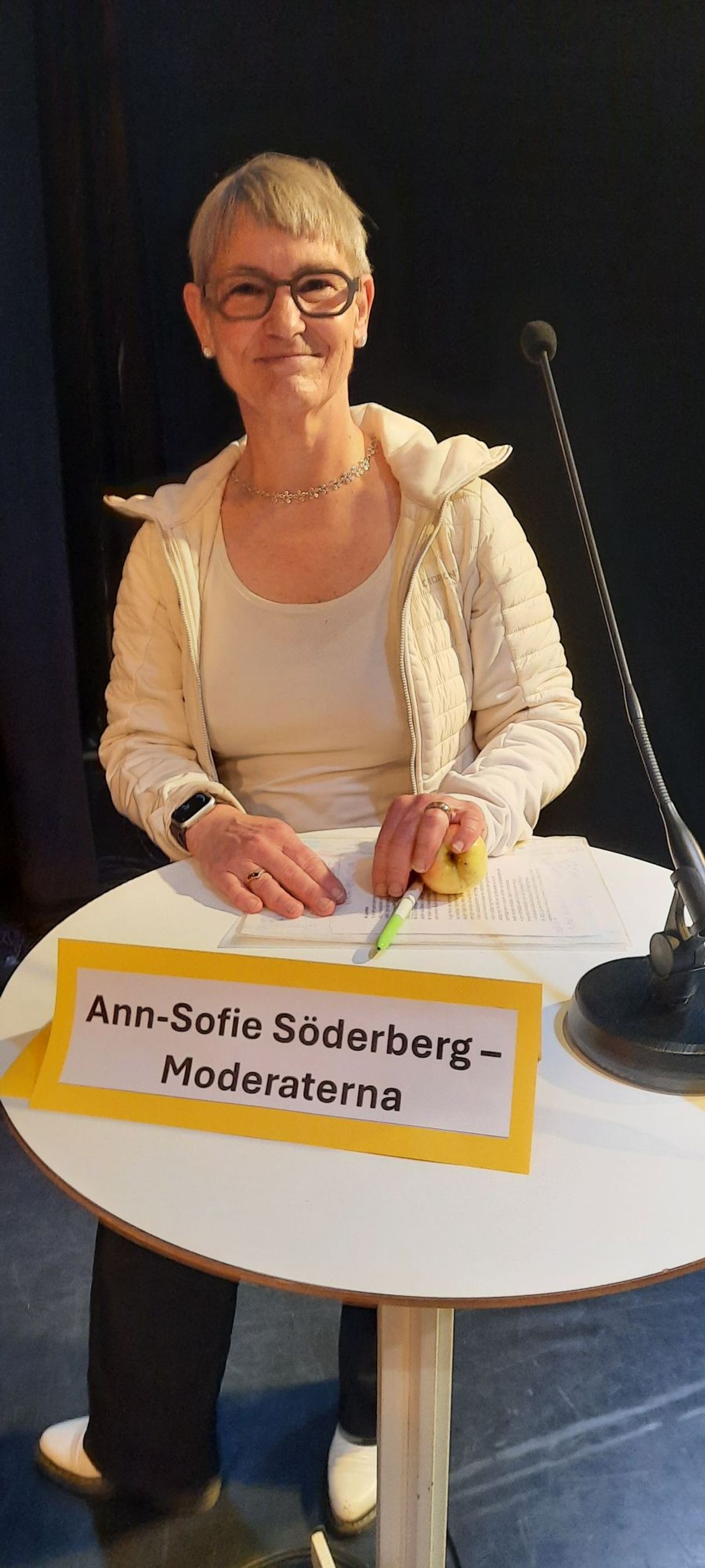 Ann-Sofie Söderberg på Klimatfestivalen 5 oktober 2024