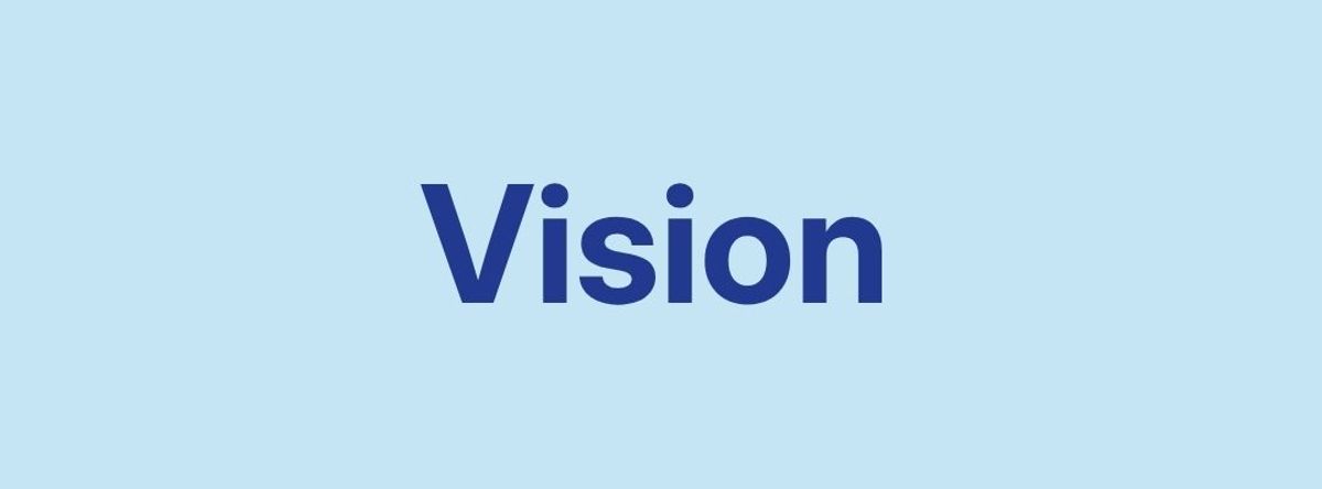 Vision