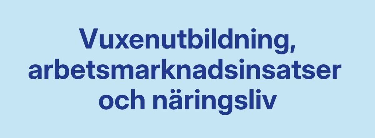 Vuxenutbildning, arbetsmarknadsinsatser  och näringsliv