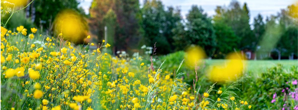  6. Miljö - halva Täby grönt