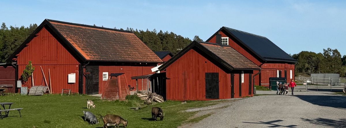15. Kultur